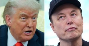 elon musk and donald trump