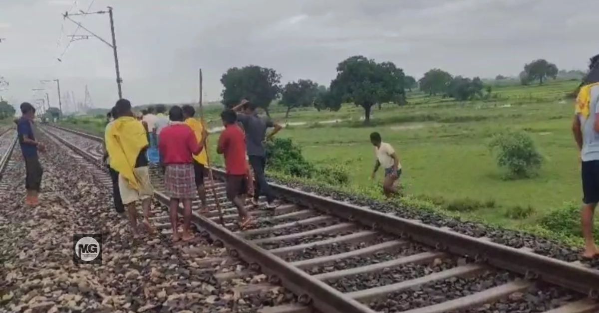 Bhojpur train accident 600 sheep dead