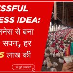 Successful Business Idea